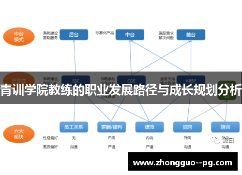 青训学院教练的职业发展路径与成长规划分析